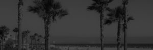 Beach with palm beach background